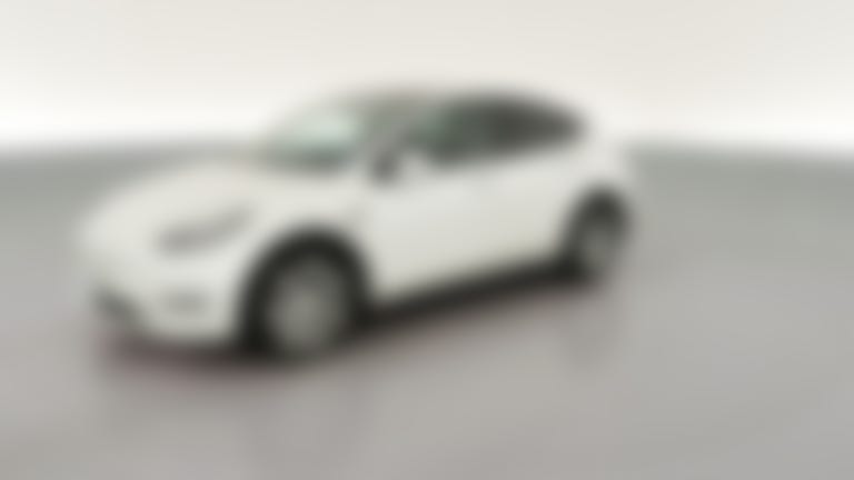 2022 Tesla Model Y vehicle photo