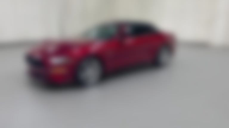 2019 Ford Mustang vehicle photo