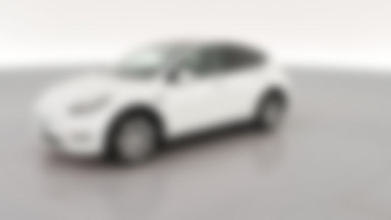 2023 Tesla Model Y vehicle photo