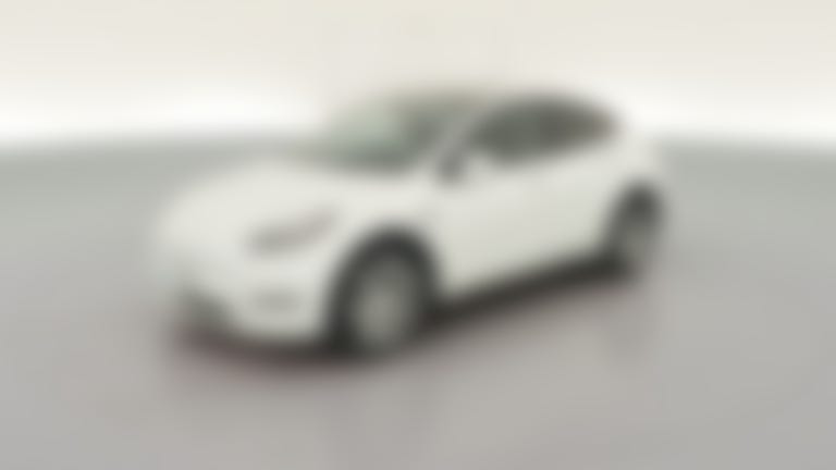 2023 Tesla Model Y vehicle photo