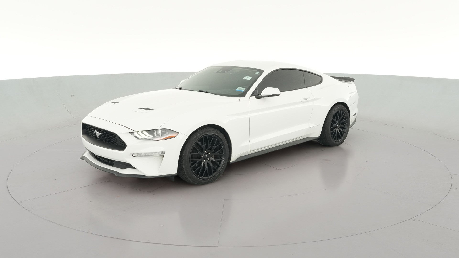 2019 Ford Mustang vehicle photo