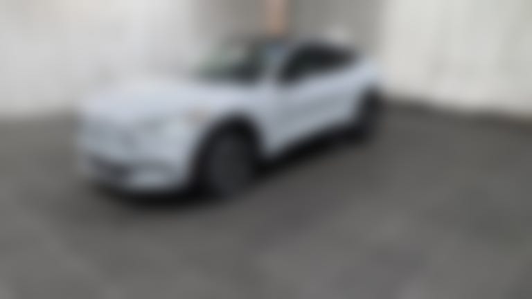 2021 Ford Mustang MACH-E vehicle photo