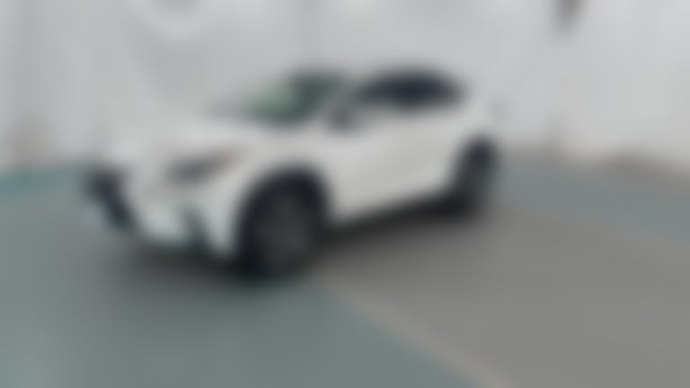 2020 Lexus NX vehicle photo