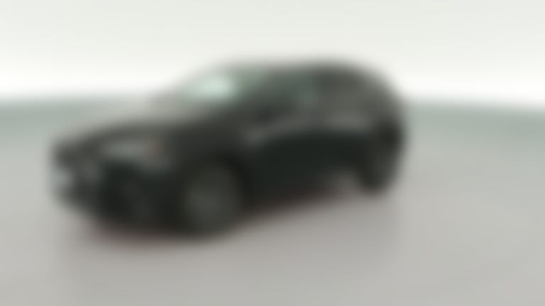 2025 Lexus NX vehicle photo