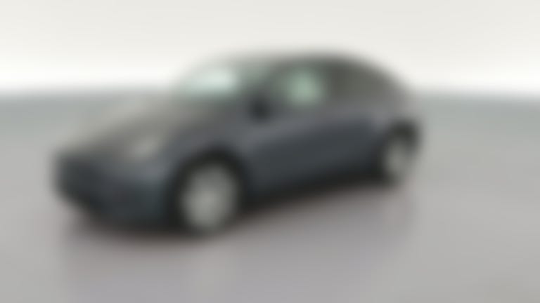 2023 Tesla Model Y vehicle photo