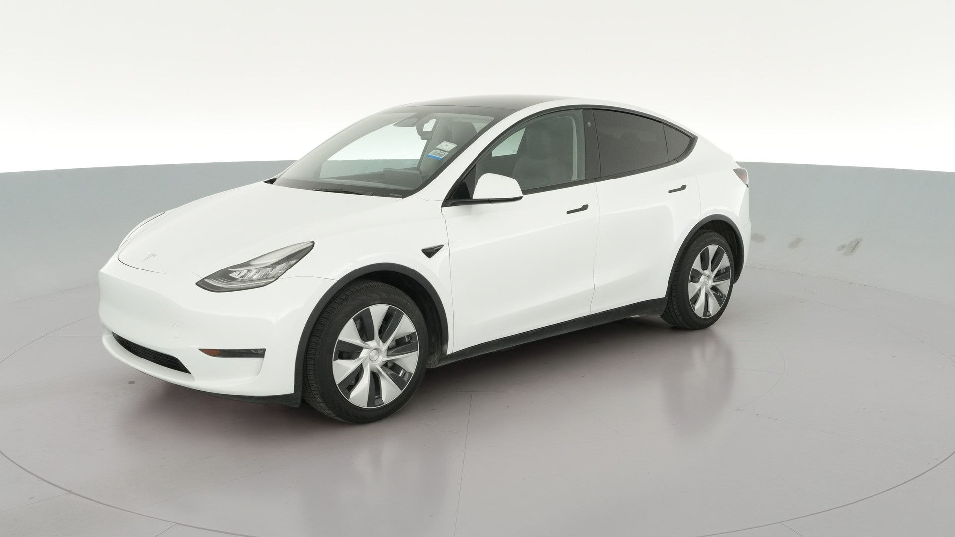 2023 Tesla Model Y vehicle photo
