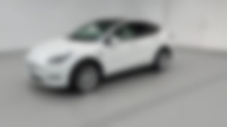 2023 Tesla Model Y vehicle photo