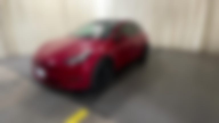 2022 Tesla Model Y vehicle photo