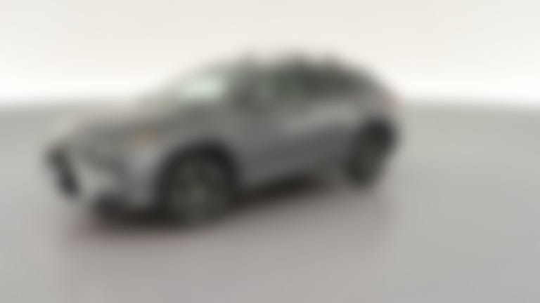 2017 Lexus RX vehicle photo