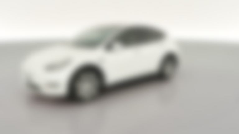 2021 Tesla Model Y vehicle photo