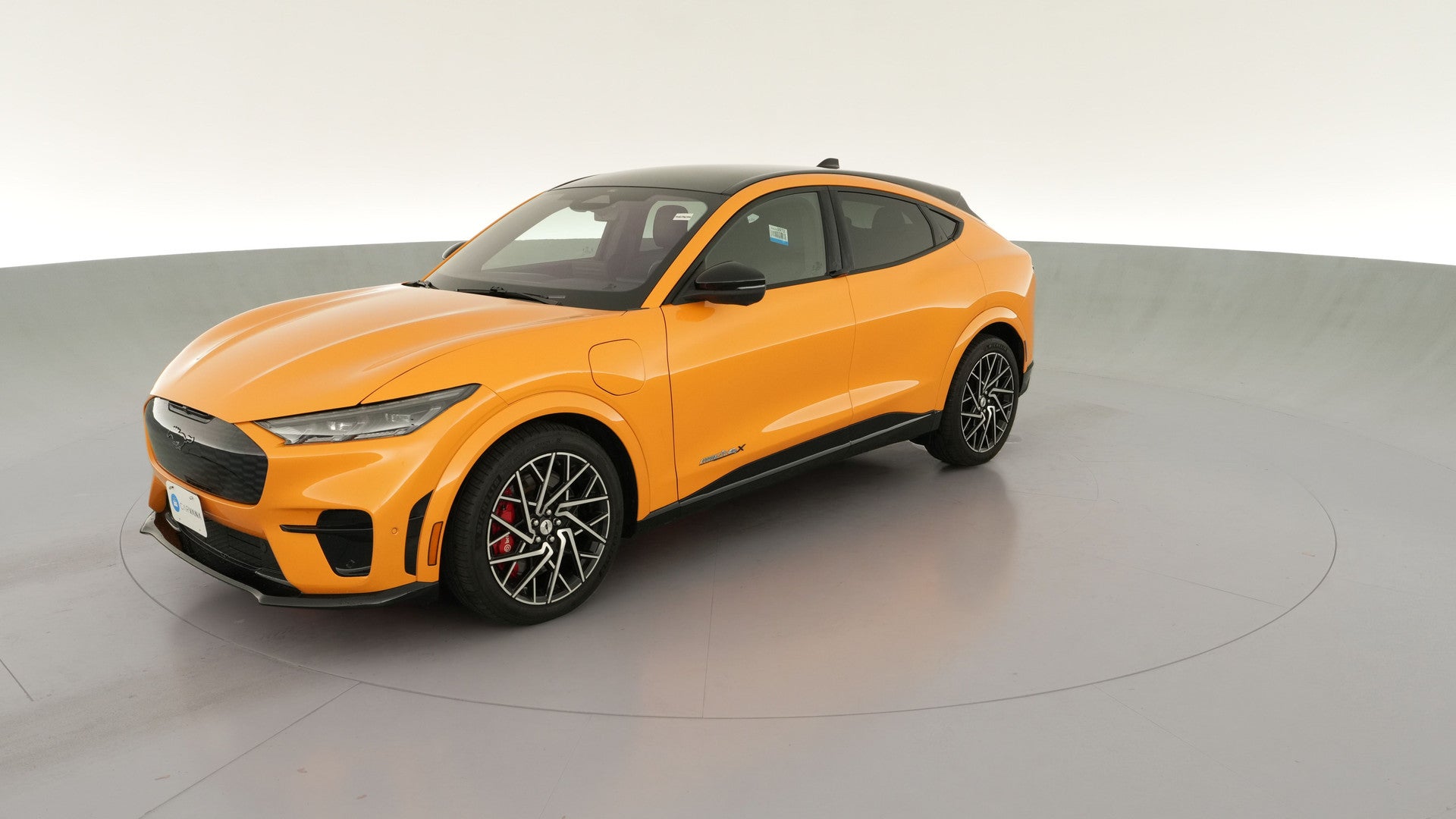 2021 Ford Mustang MACH-E vehicle photo