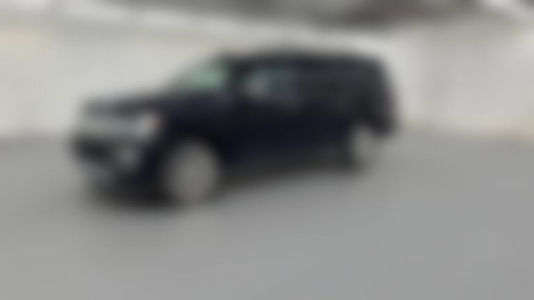 2020 Ford Expedition MAX vehicle photo