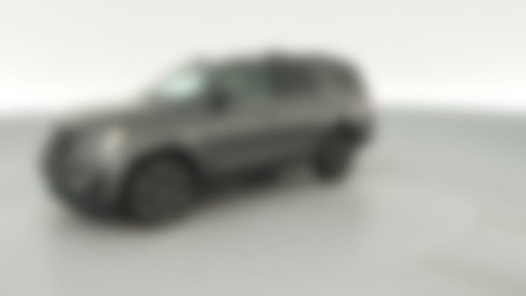 2019 Ford Expedition vehicle photo