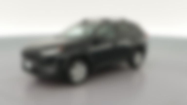 2019 Toyota RAV4 vehicle photo