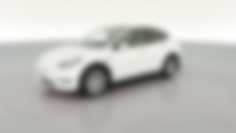 2023 Tesla Model Y vehicle photo