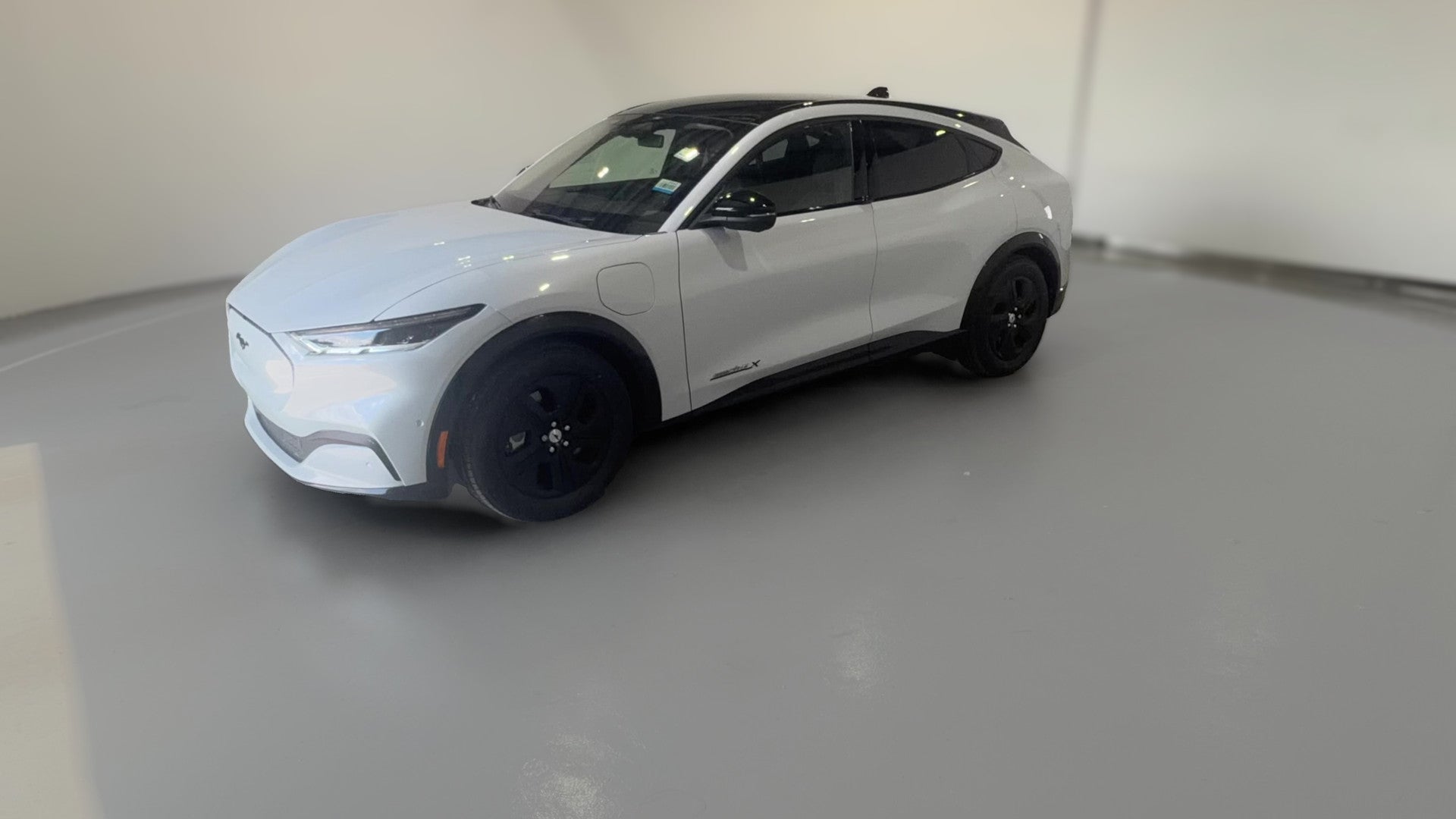 2021 Ford Mustang MACH-E vehicle photo