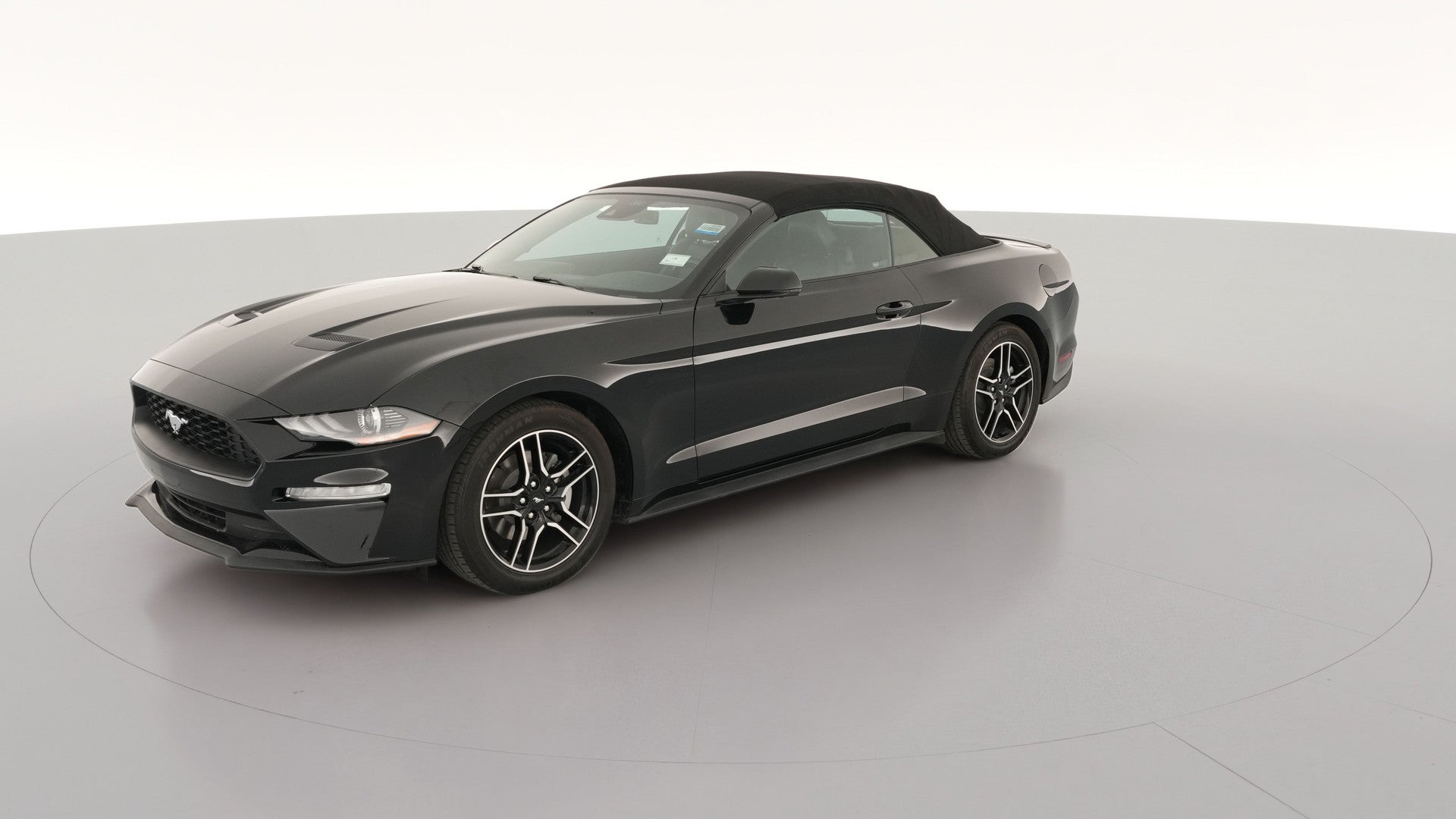 2023 Ford Mustang vehicle photo