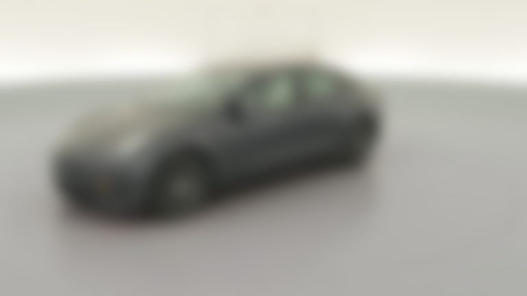 2021 Tesla Model 3 vehicle photo