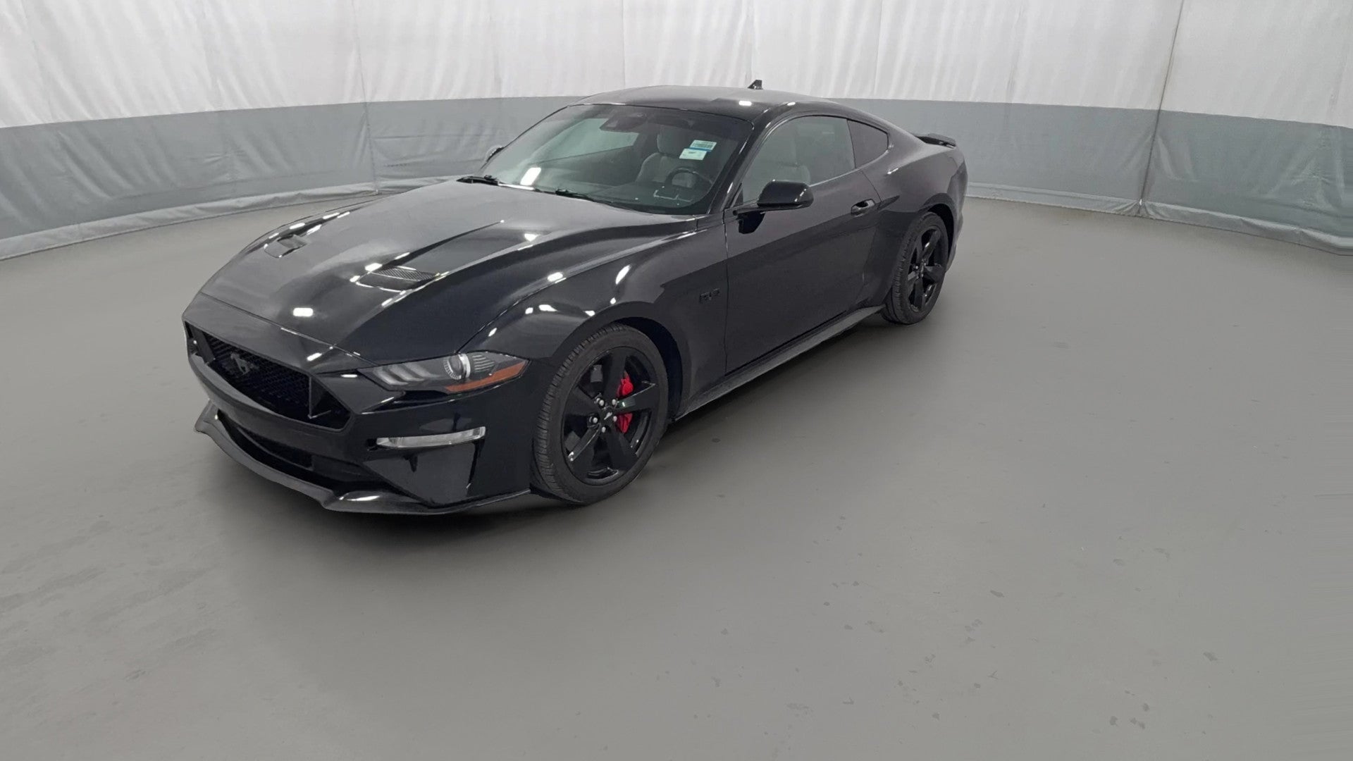 2021 Ford Mustang vehicle photo