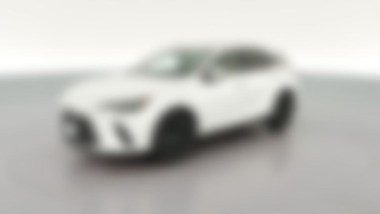2024 Lexus RX vehicle photo