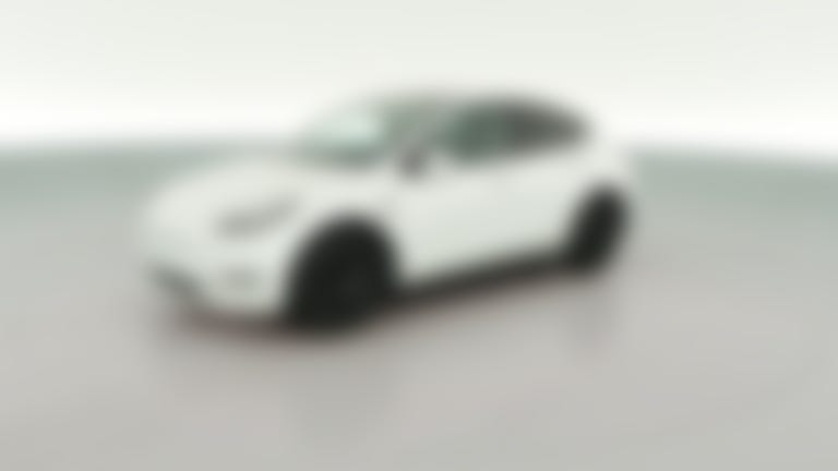 2020 Tesla Model Y vehicle photo