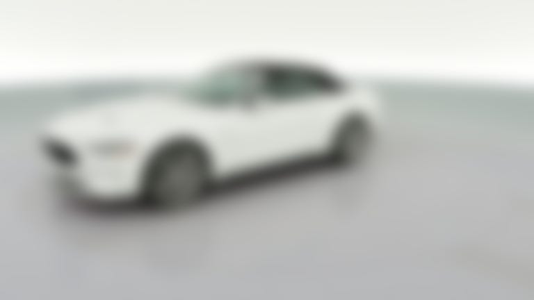 2019 Ford Mustang vehicle photo