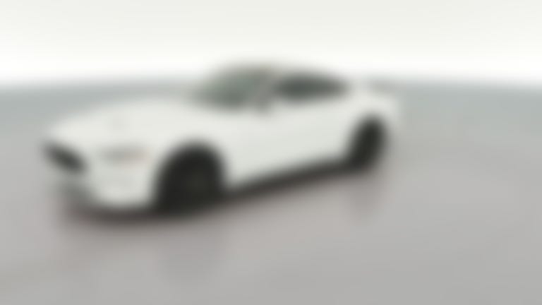 2019 Ford Mustang vehicle photo