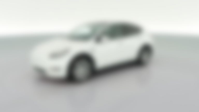 2021 Tesla Model Y vehicle photo