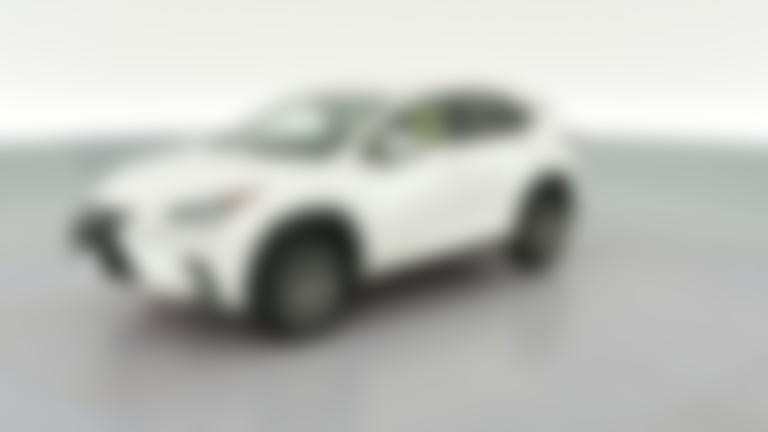 2019 Lexus NX vehicle photo