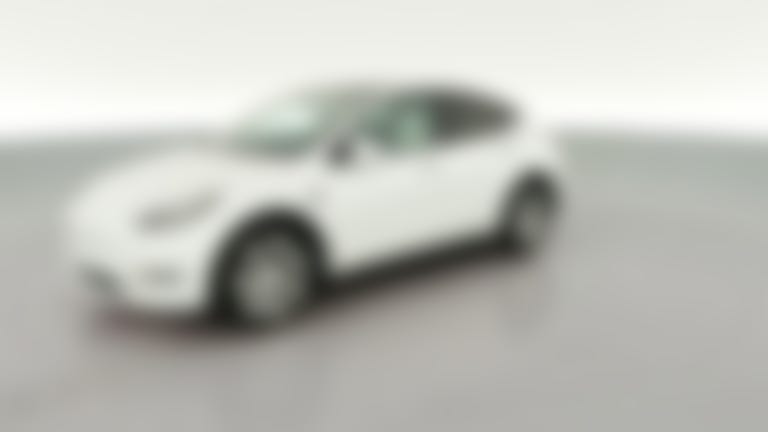 2021 Tesla Model Y vehicle photo