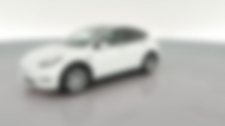 2023 Tesla Model Y vehicle photo