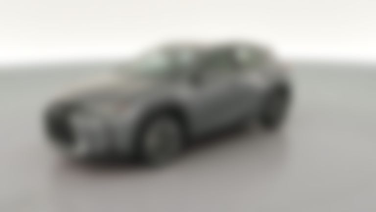 2019 Lexus UX vehicle photo