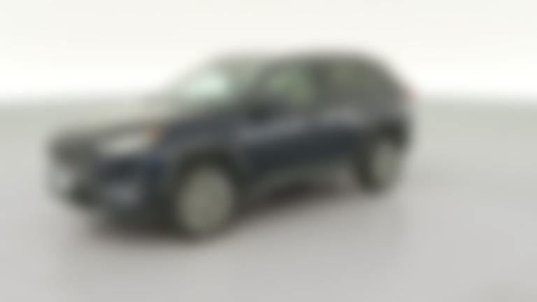 2019 Toyota RAV4 vehicle photo