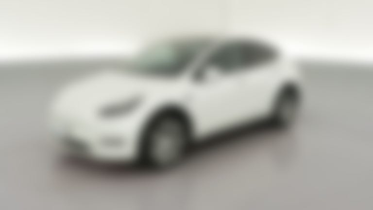 2023 Tesla Model Y vehicle photo