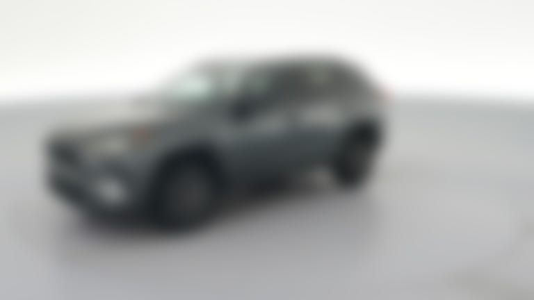 2019 Toyota RAV4 vehicle photo