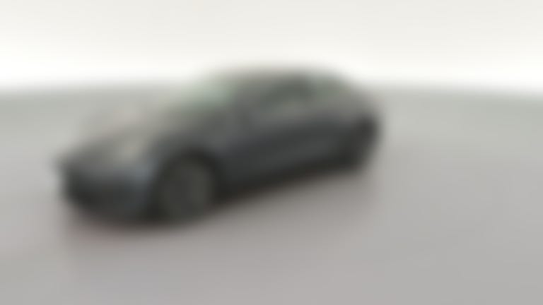2019 Tesla Model 3 vehicle photo