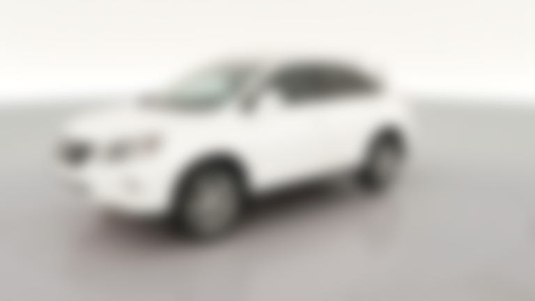 2014 Lexus RX vehicle photo