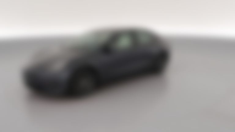 2021 Tesla Model 3 vehicle photo