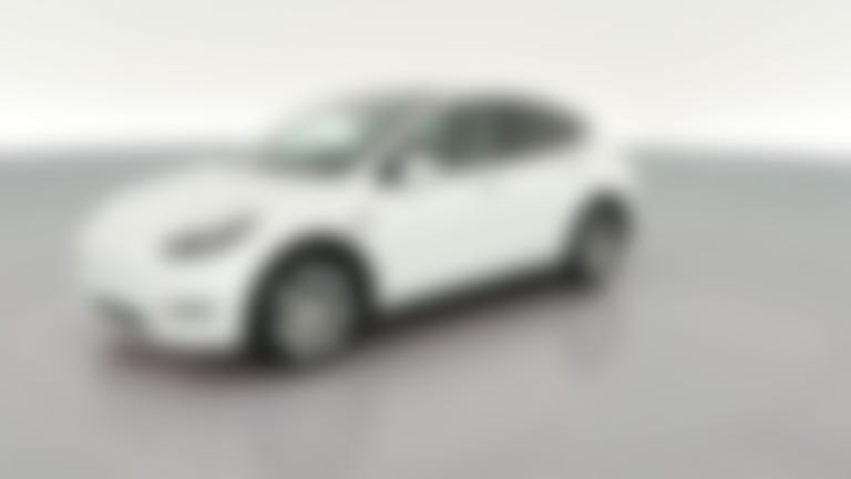 2023 Tesla Model Y vehicle photo
