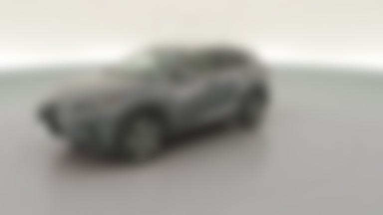 2019 Lexus NX vehicle photo