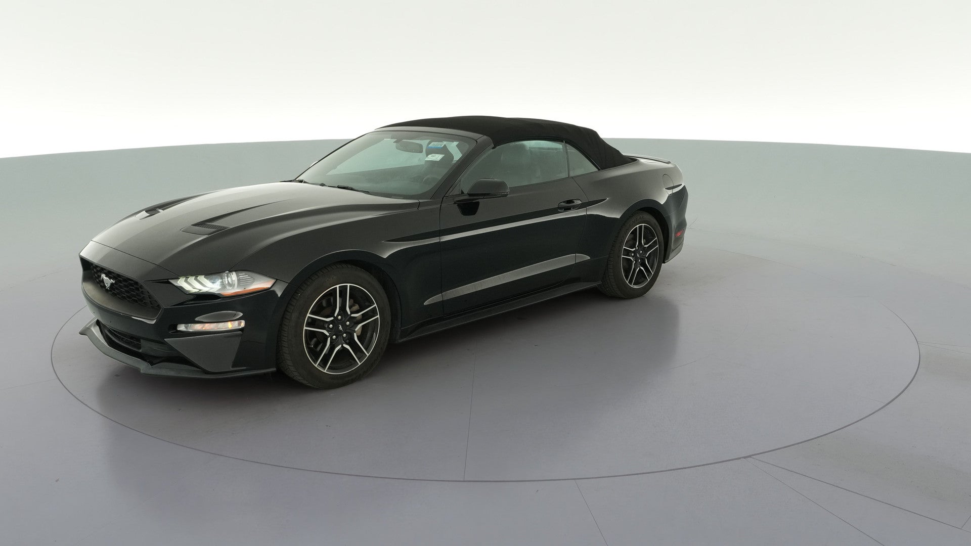 2019 Ford Mustang vehicle photo