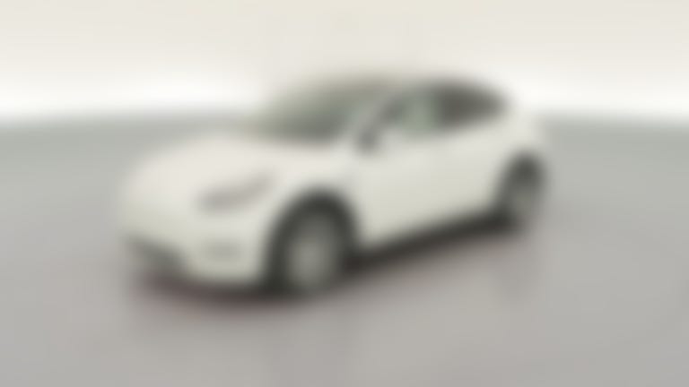2021 Tesla Model Y vehicle photo