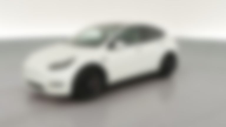 2021 Tesla Model Y vehicle photo