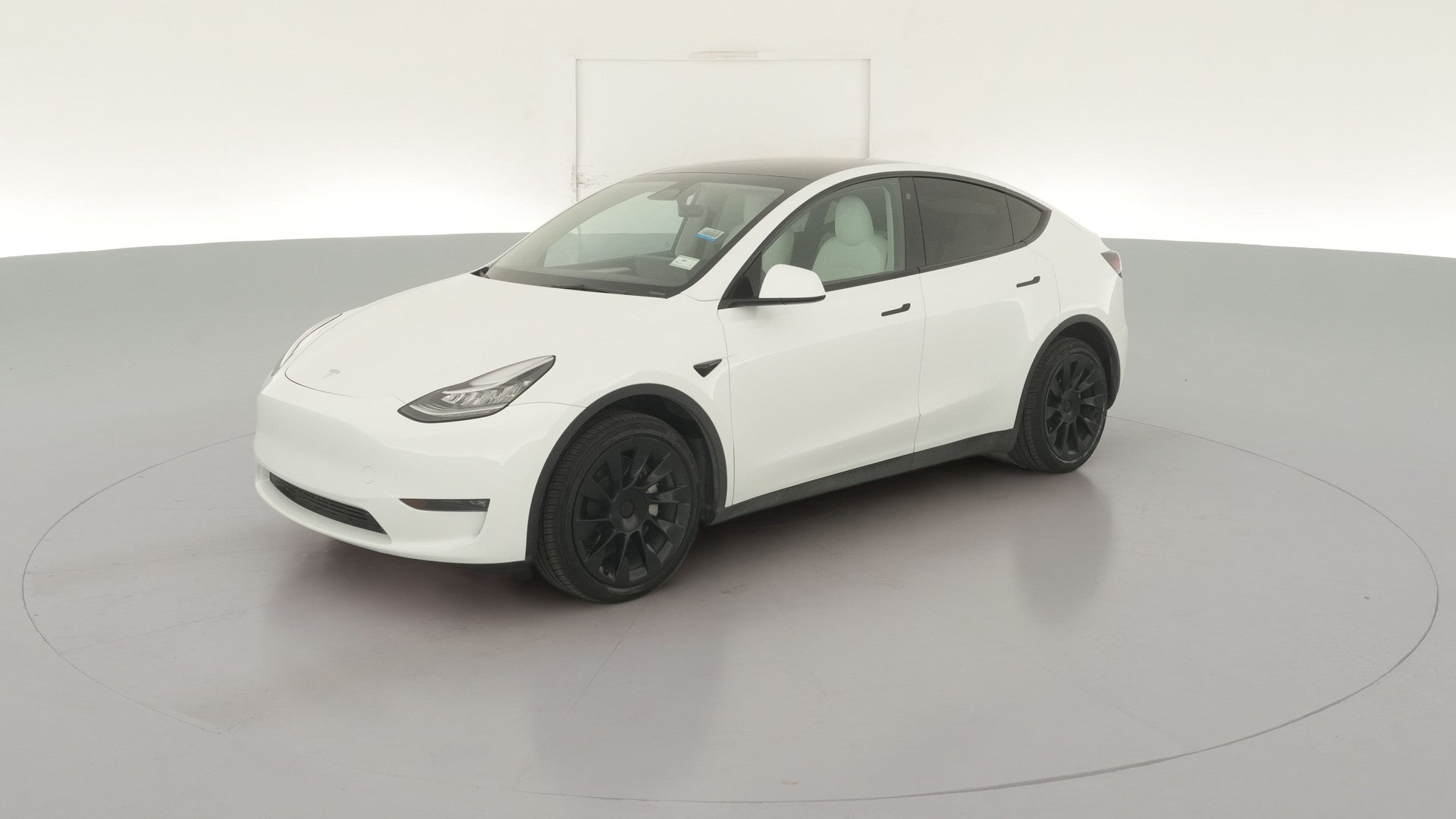 2023 Tesla Model Y vehicle photo