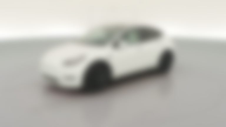 2023 Tesla Model Y vehicle photo