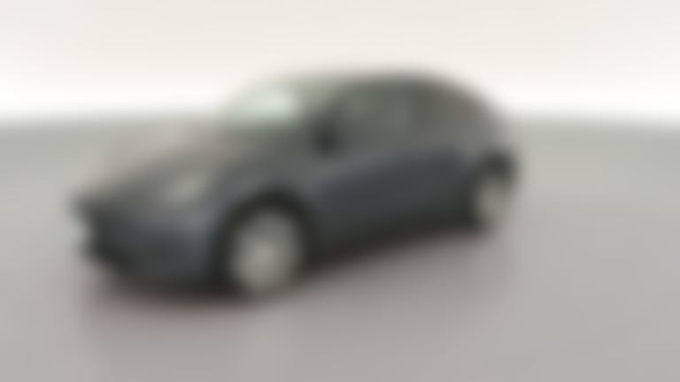 2023 Tesla Model Y vehicle photo