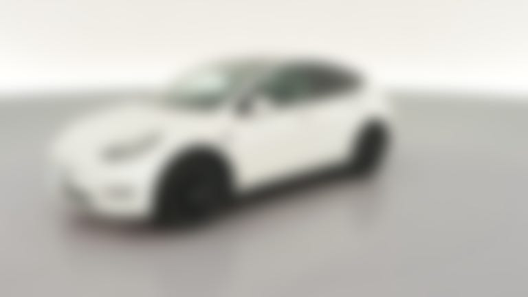 2020 Tesla Model Y vehicle photo