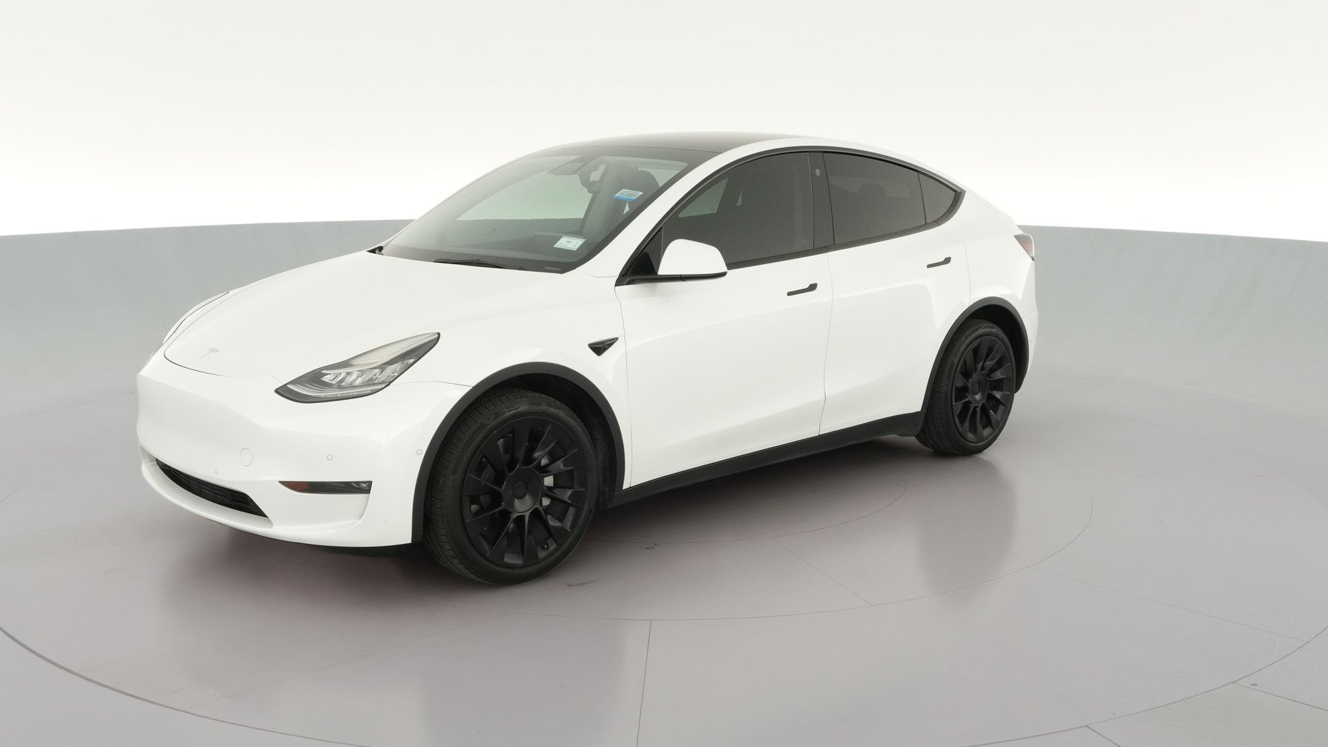 2022 Tesla Model Y vehicle photo