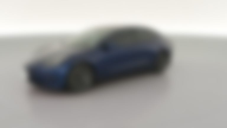 2021 Tesla Model 3 vehicle photo