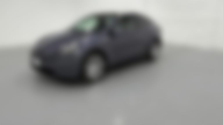 2023 Tesla Model Y vehicle photo